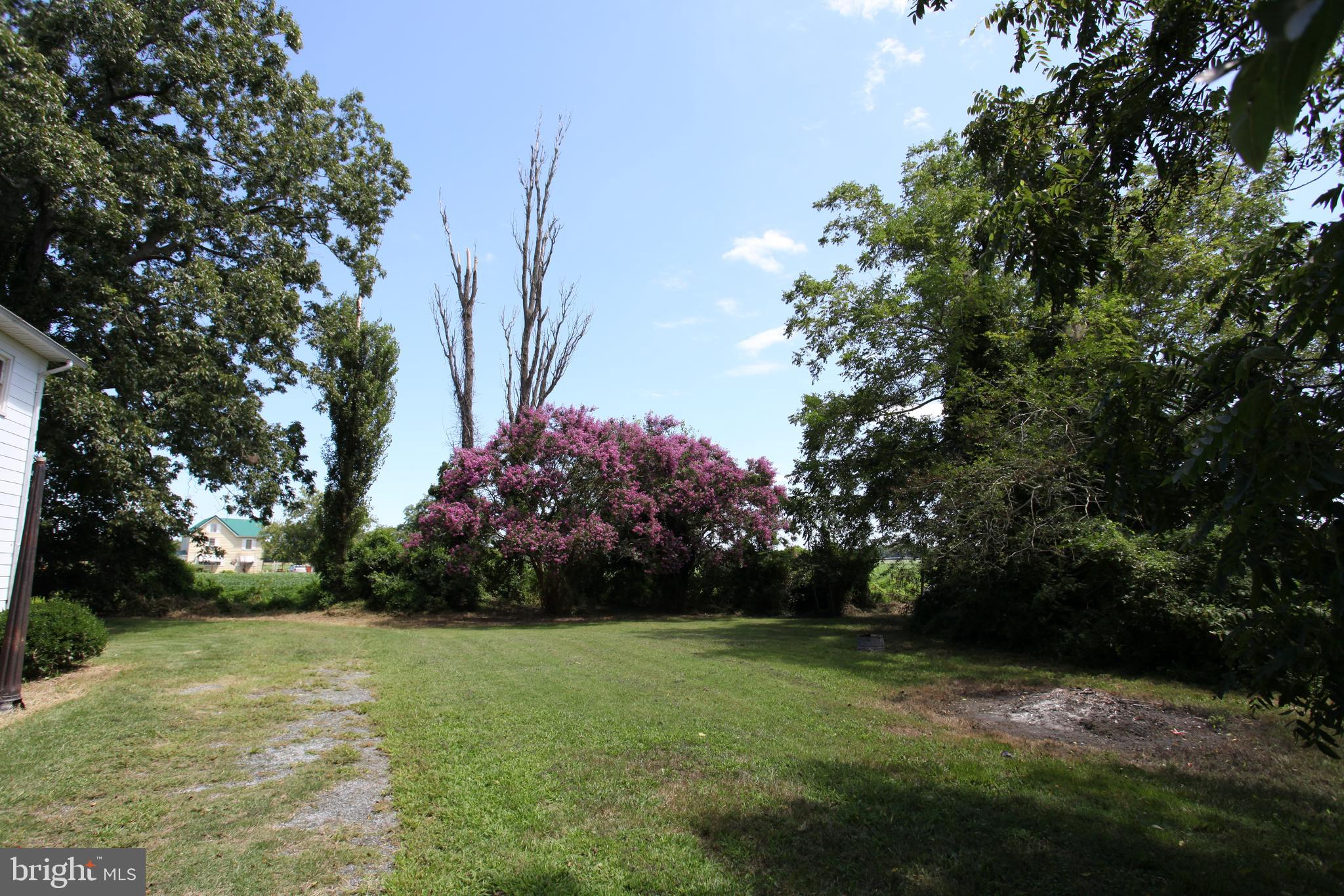 1608 Snow Hill Road Stockton, MD 21864 - Photo 54 of 58 Gallery Image 54