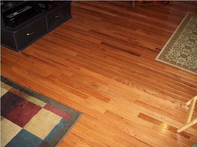 40 Honeysuckle Road Pikeville, TN 37367 - Photo 12 of 12 Additional Photo