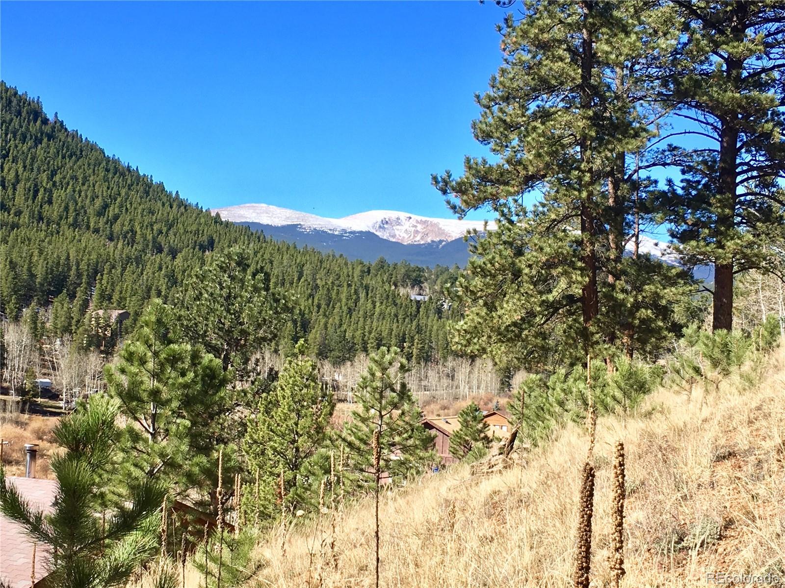 502 Gross Road Bailey, CO 80421 - Photo 2 of 14 a view of a yard with a tree