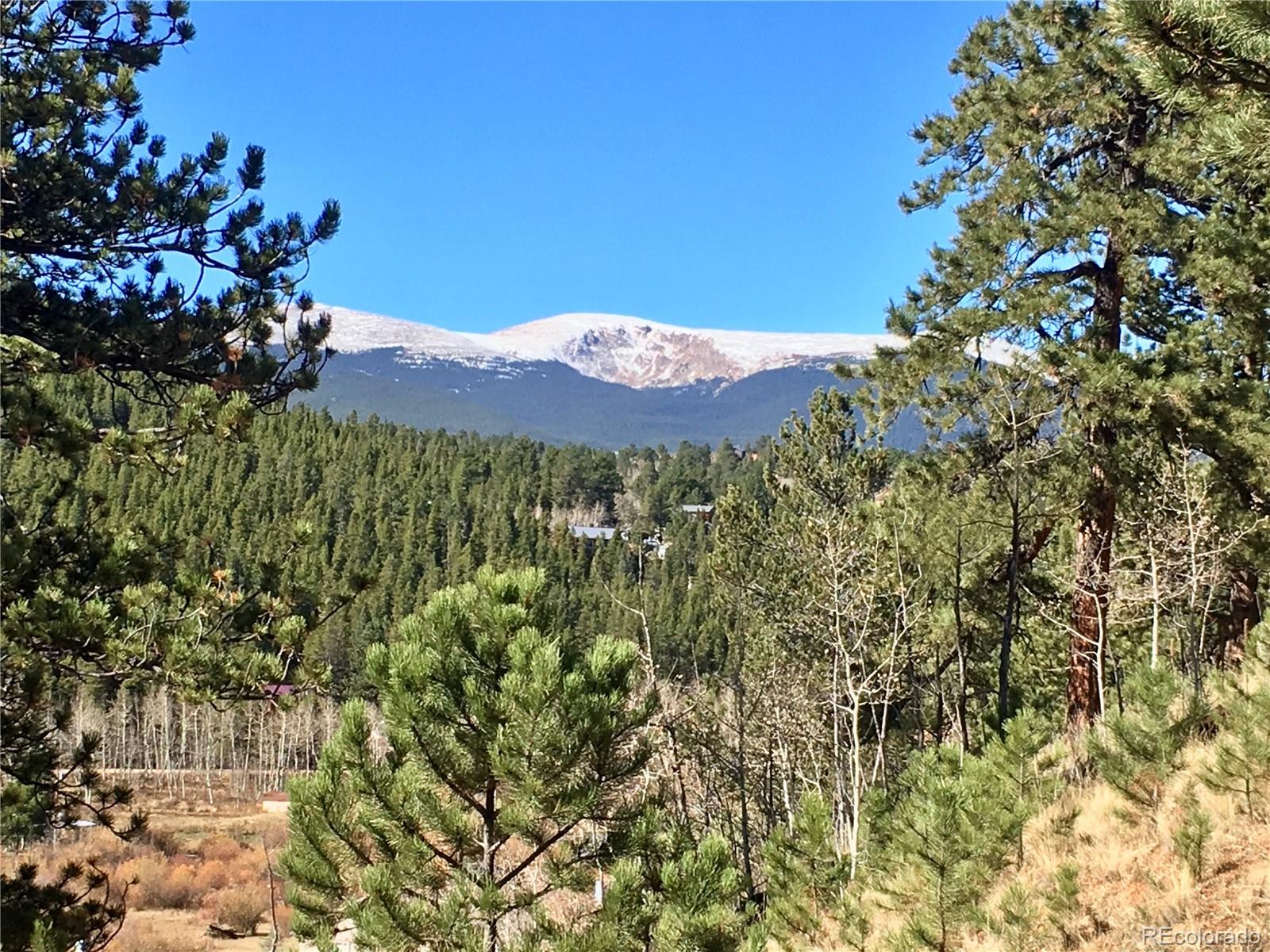 502 Gross Road Bailey, CO 80421 - Photo 5 of 14 a view of a pathway with a tree