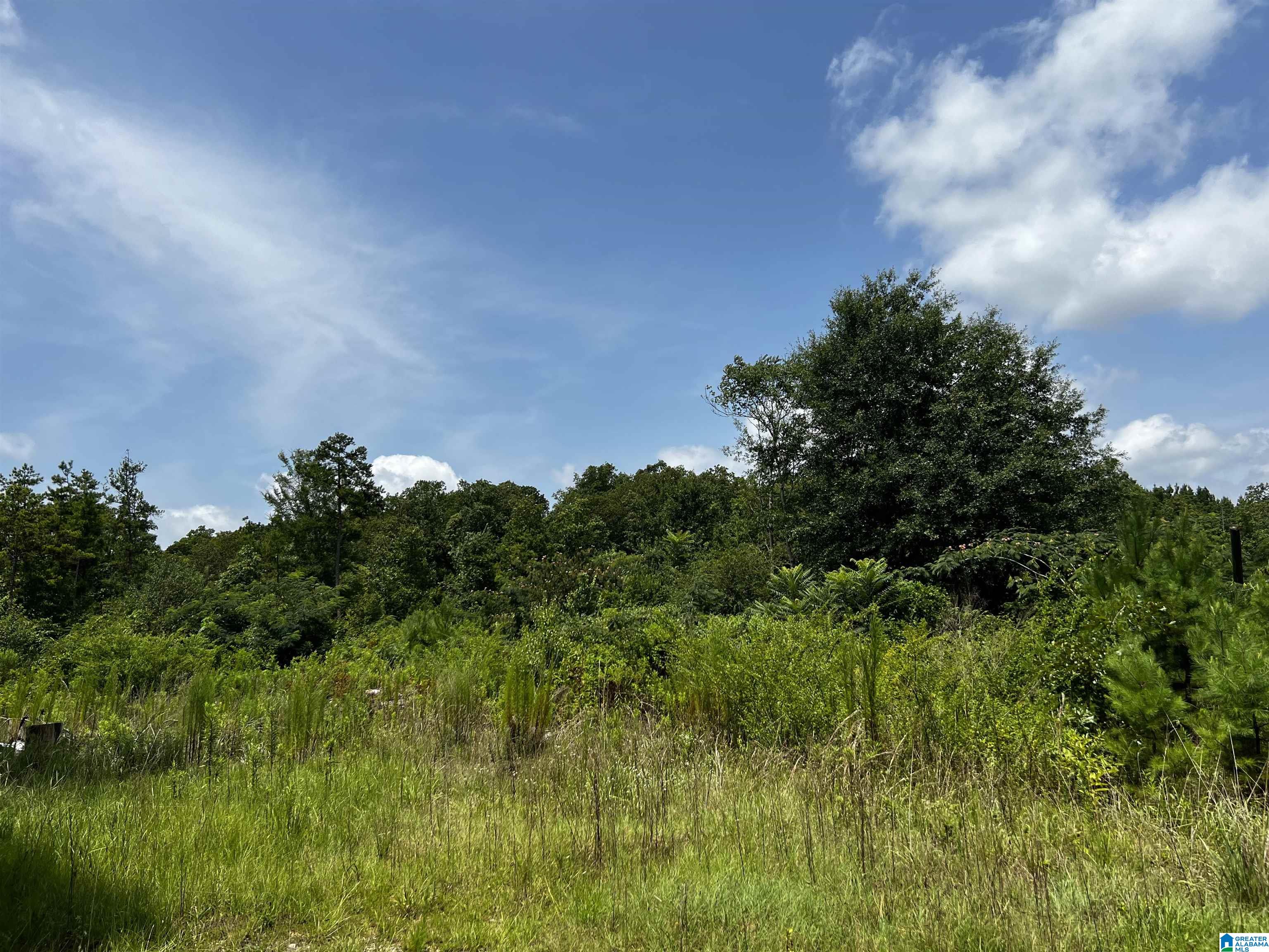 830 Mountain View Road, Unit 1 Talladega, AL 35160 - Photo 8 of 11