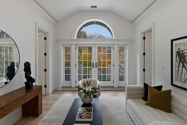 a living room with furniture and a potted plant