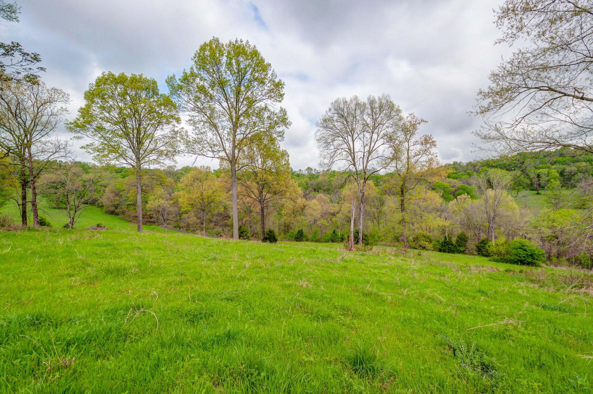 2348 Tom Fitzgerald Road Columbia, TN 38401 - Photo 33 of 47 a view of an outdoor space and a yard