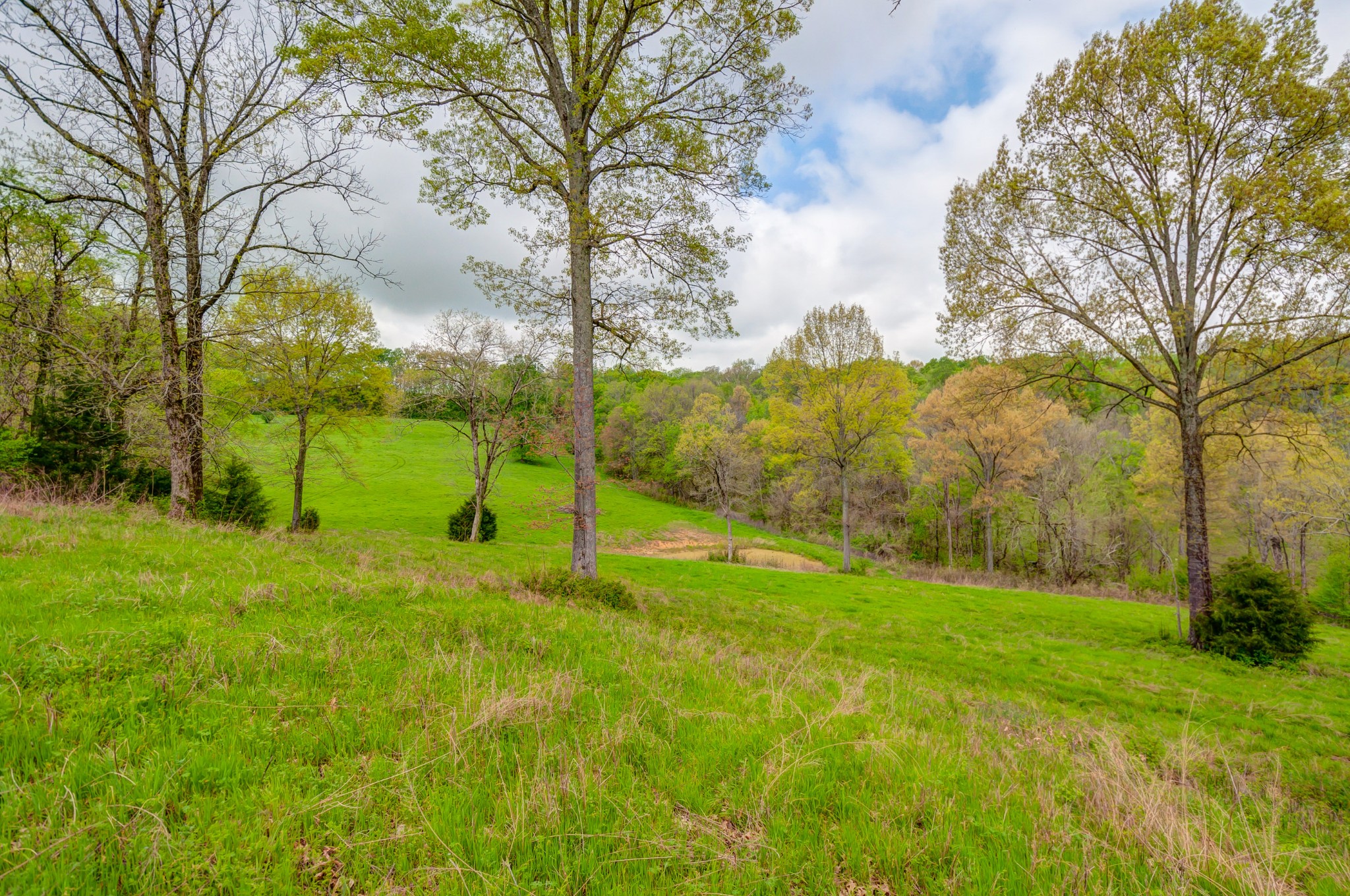 2348 Tom Fitzgerald Road Columbia, TN 38401 - Photo 34 of 47 a view of an house with a backyard