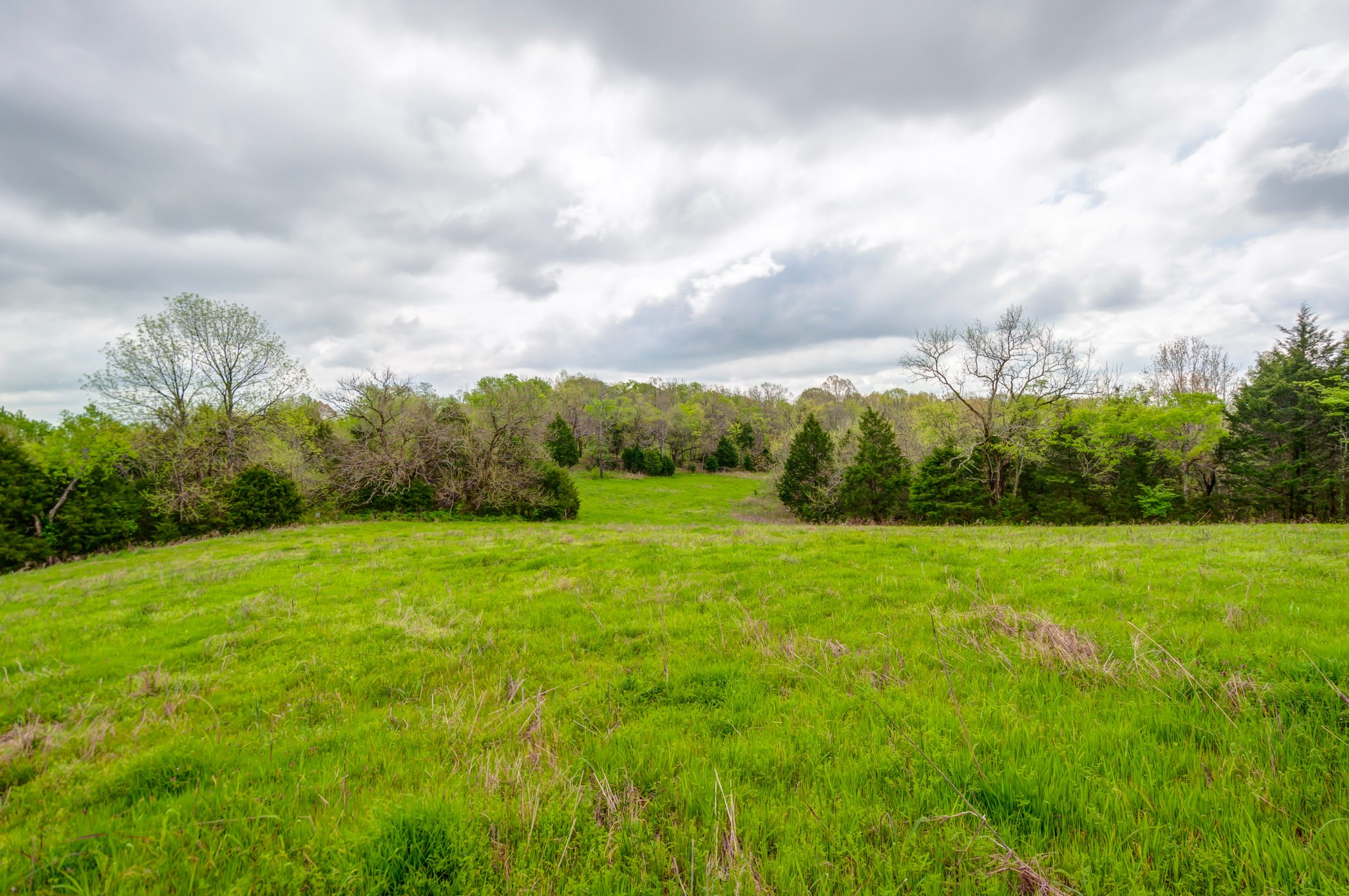 2348 Tom Fitzgerald Road Columbia, TN 38401 - Photo 35 of 47 a view of an outdoor space and yard