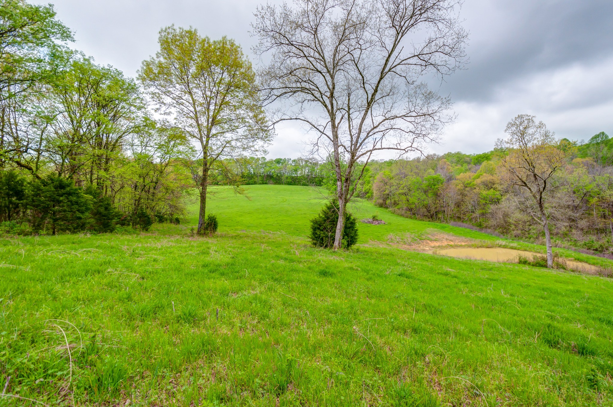 2348 Tom Fitzgerald Road Columbia, TN 38401 - Photo 36 of 47 a view of field with tall trees