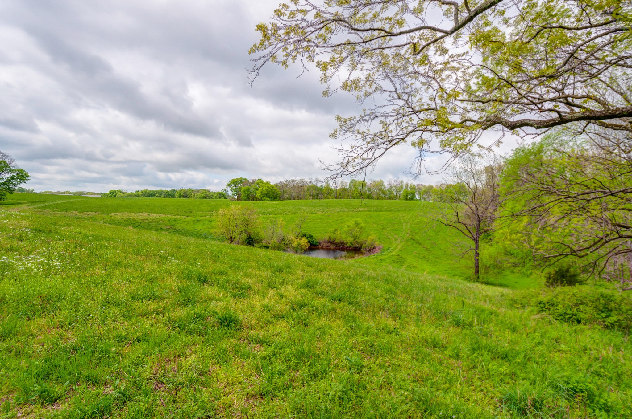 2348 Tom Fitzgerald Road Columbia, TN 38401 - Photo 38 of 47 a view of a field of grass and trees