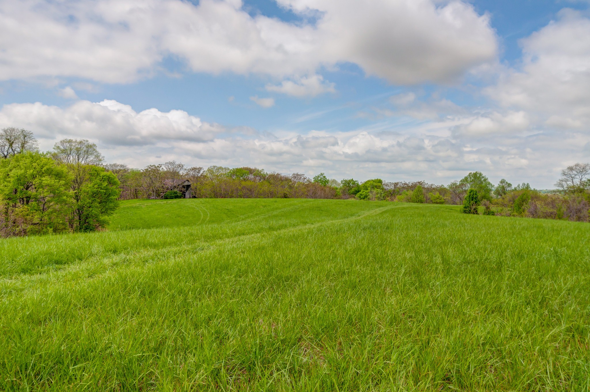 2348 Tom Fitzgerald Road Columbia, TN 38401 - Photo 39 of 47 a view of a green field with wooden fence
