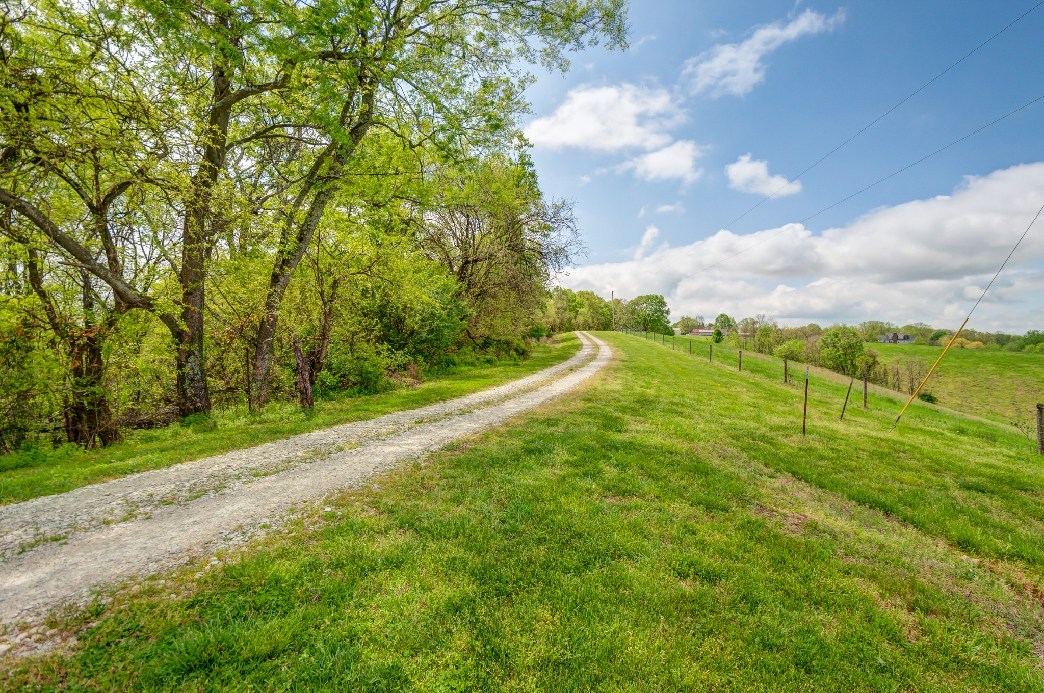2348 Tom Fitzgerald Road Columbia, TN 38401 - Photo 40 of 47 a view of a yard with an trees