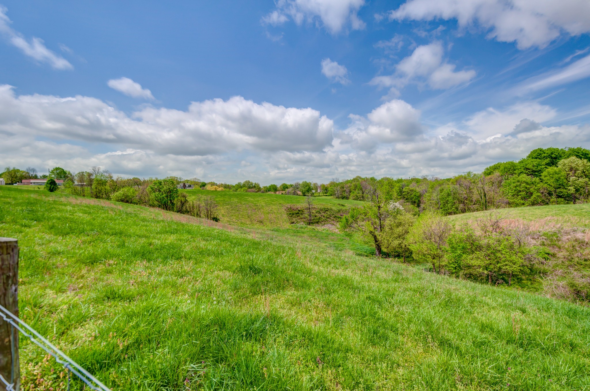 2348 Tom Fitzgerald Road Columbia, TN 38401 - Photo 42 of 47 a view of outdoor space and yard