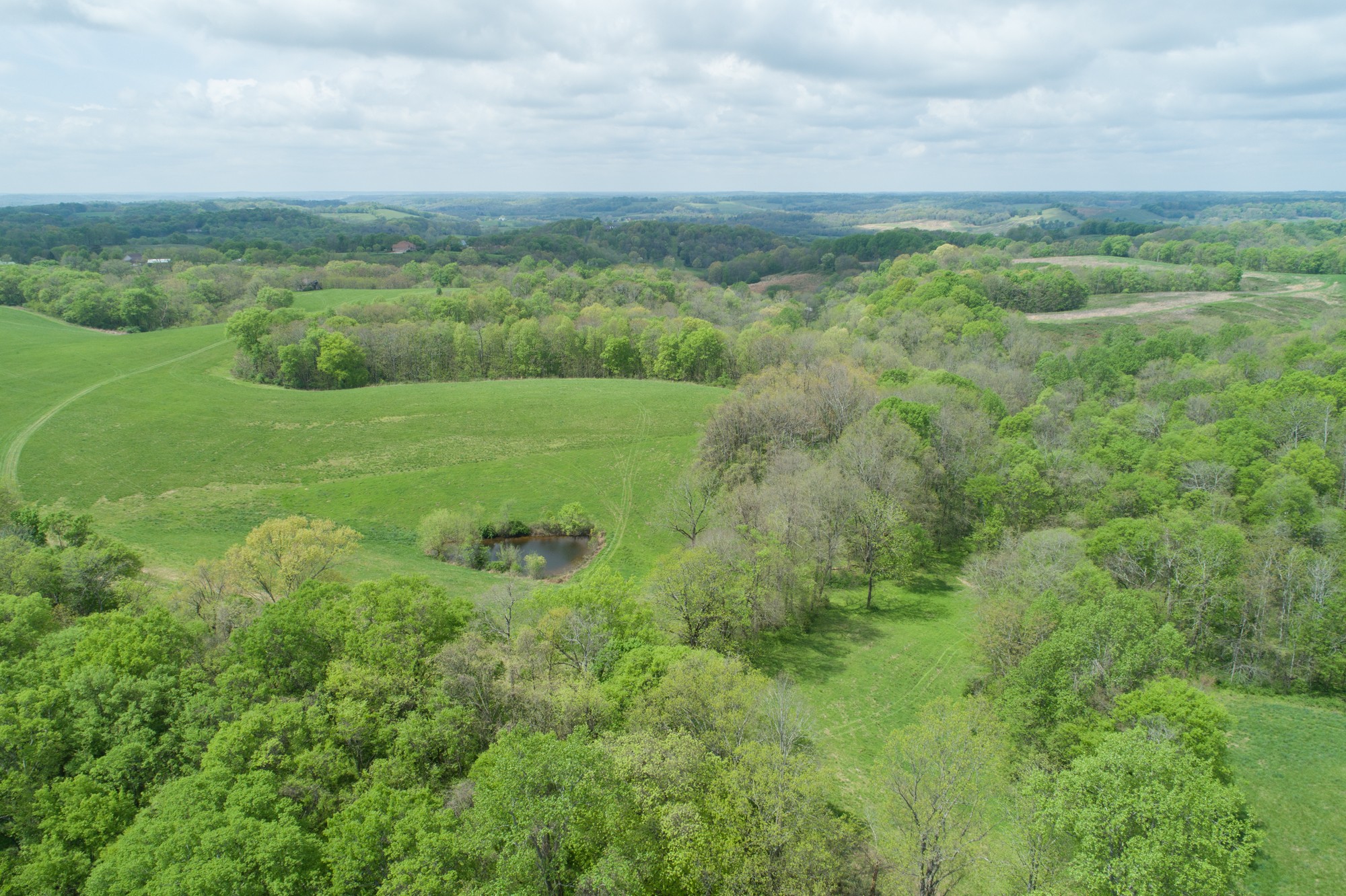 2348 Tom Fitzgerald Road Columbia, TN 38401 - Photo 44 of 47 a view of a lush green field