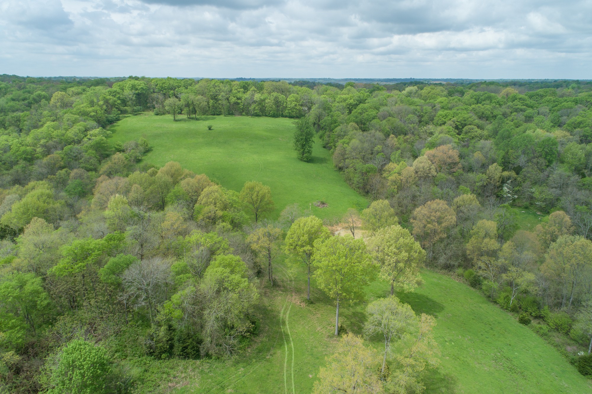 2348 Tom Fitzgerald Road Columbia, TN 38401 - Photo 46 of 47 a view of a big yard with lots of green space