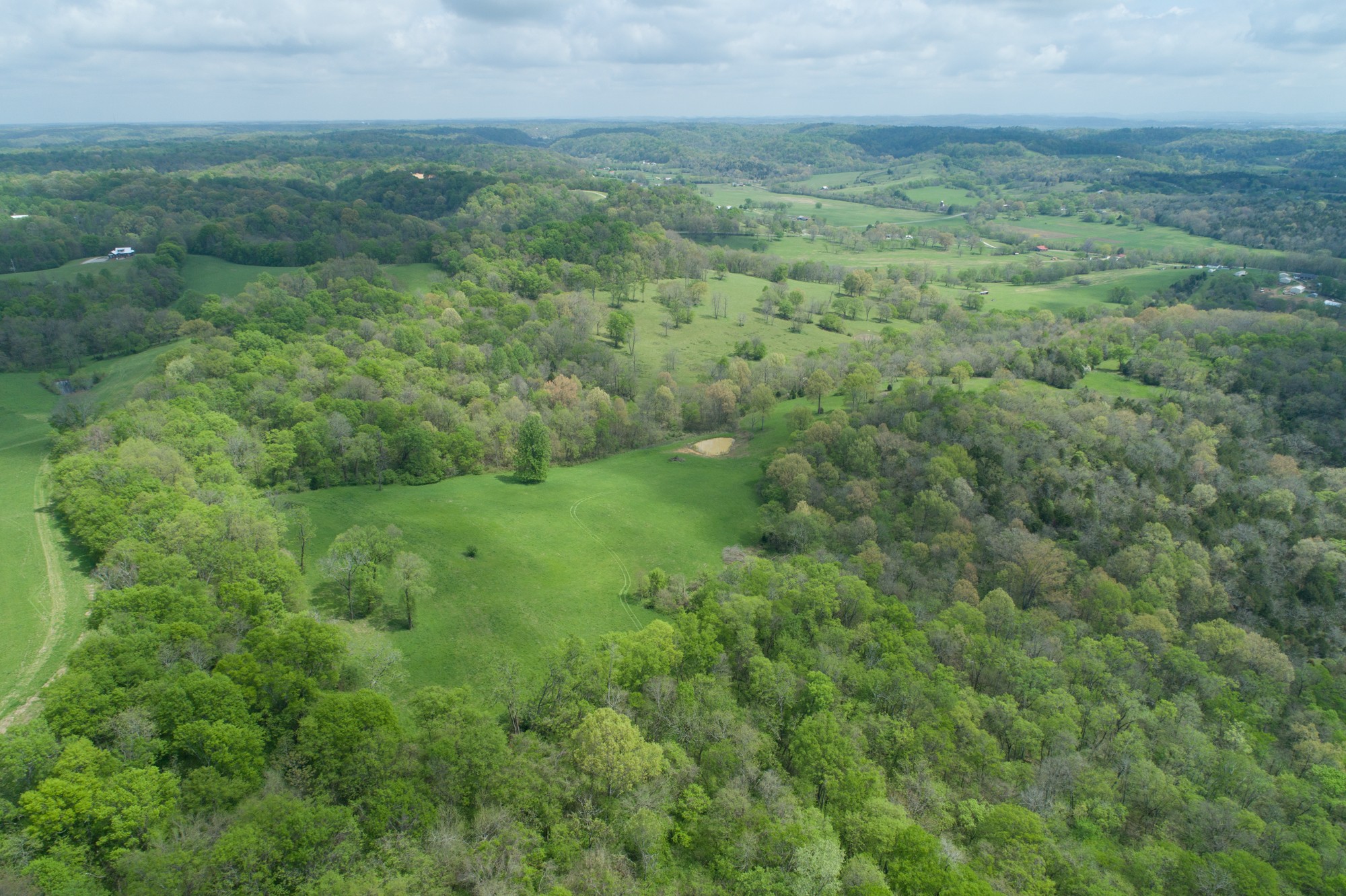 2348 Tom Fitzgerald Road Columbia, TN 38401 - Photo 47 of 47 a view of a big yard with lots of green space