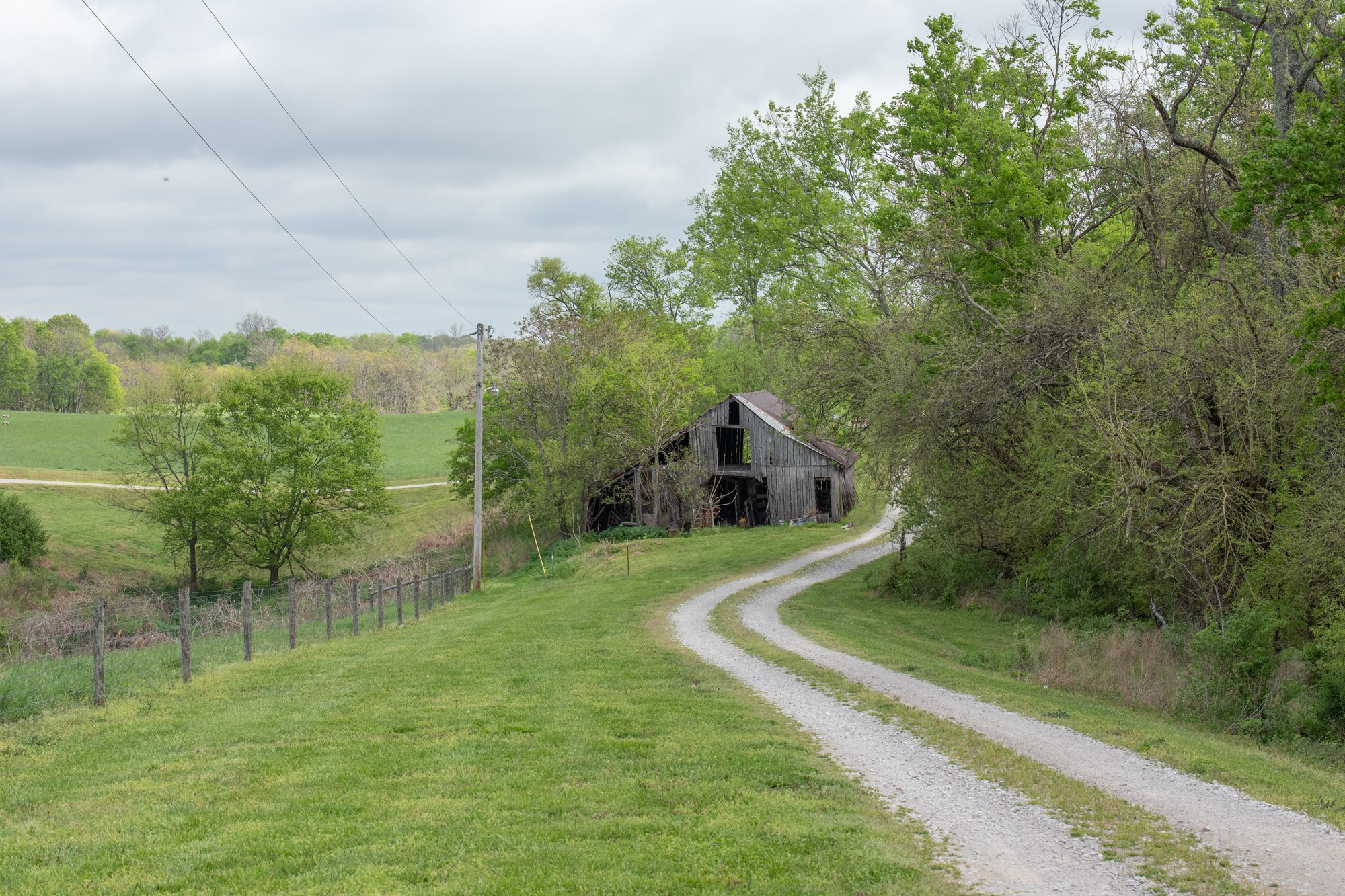 2348 Tom Fitzgerald Road Columbia, TN 38401 - Photo 8 of 47 a view of a house with a yard