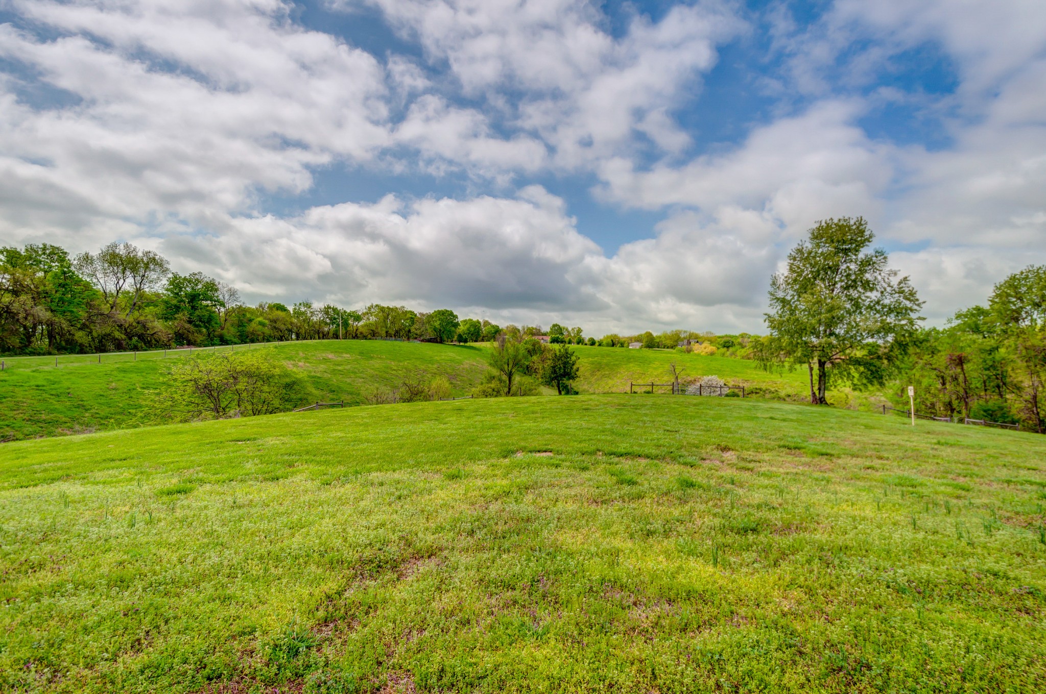 2348 Tom Fitzgerald Road Columbia, TN 38401 - Photo 10 of 47 a view of an outdoor space and a yard