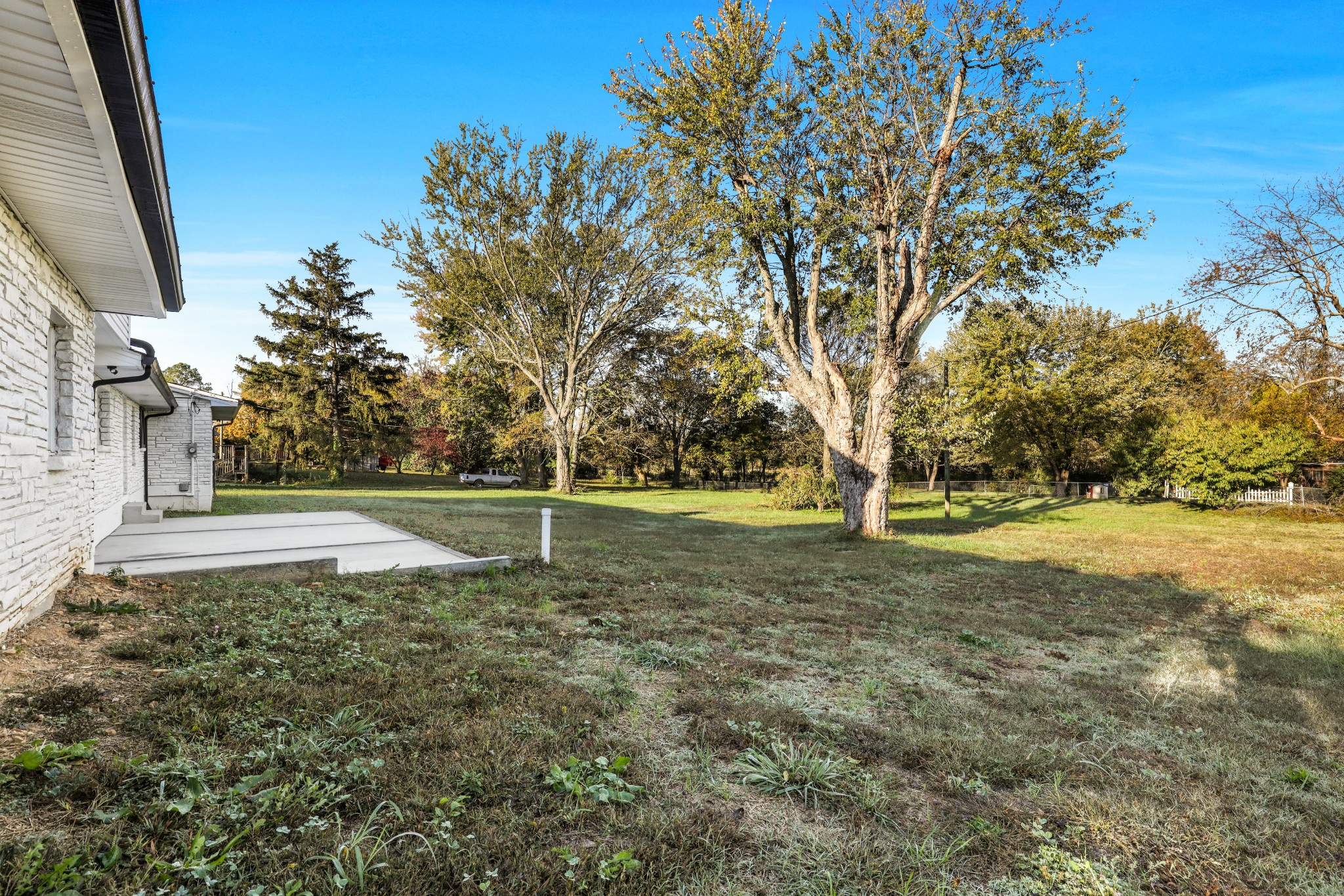 1503 5th Avenue West Springfield, TN 37172 - Photo 51 of 57 a view of backyard with tree