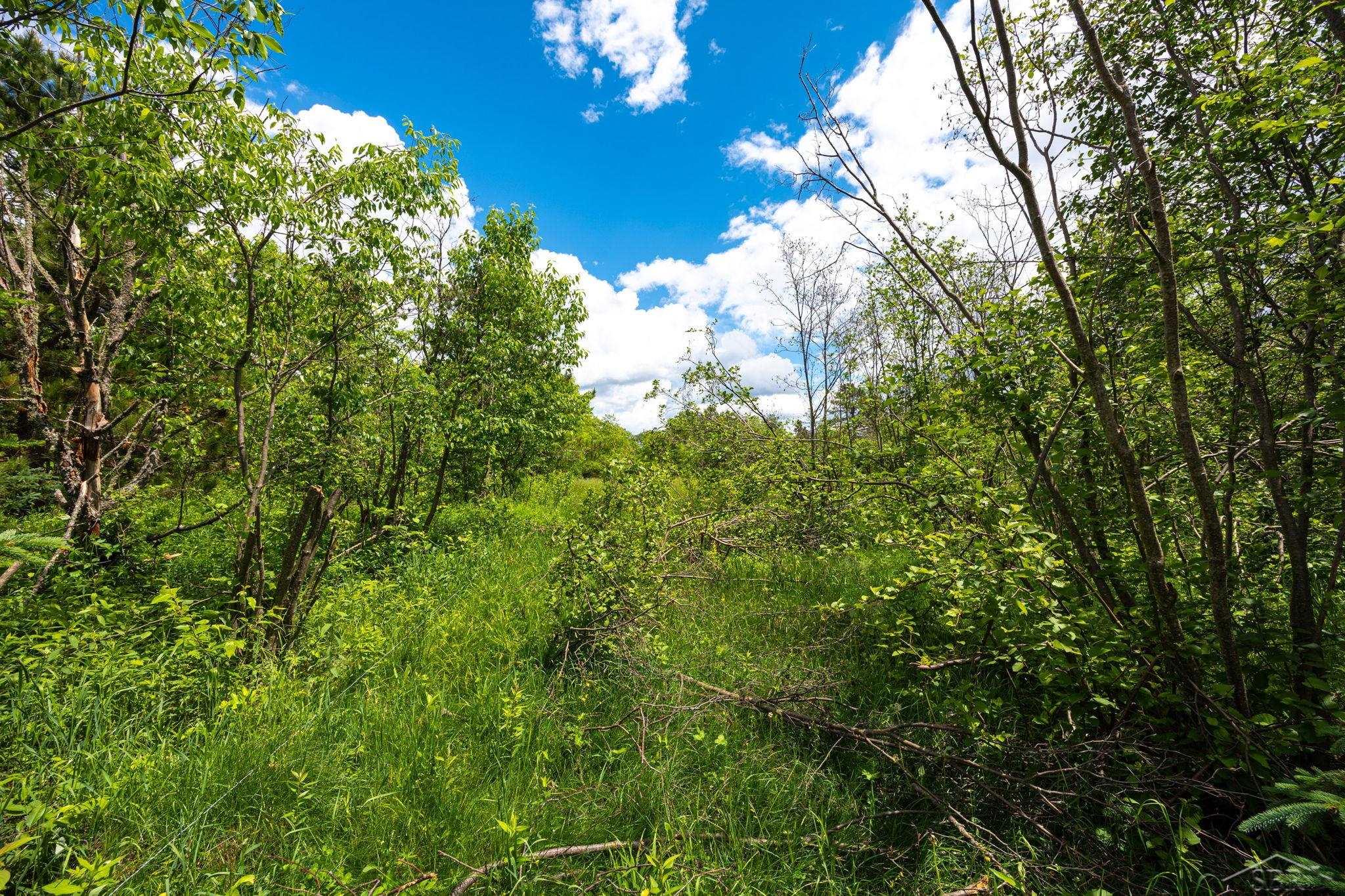 25615 Leo S Road Watton, MI 49970 - Photo 62 of 72