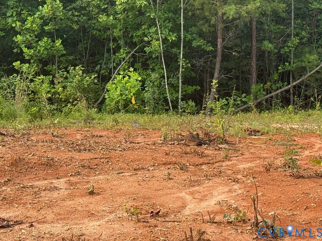 0 Liberty Chapel Road Appomattox, VA 24522 - Photo 21 of 57