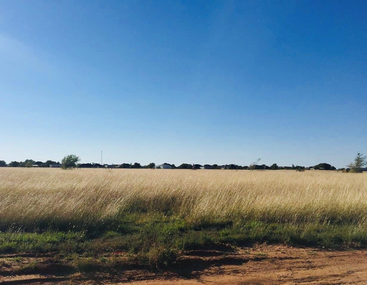 7900 Woodrow Road Wolfforth, TX 79382 - Photo 1 of 1 Photo 1