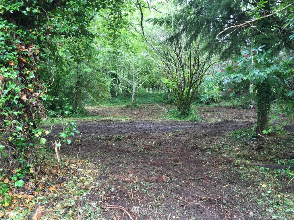 5010 Sandridge Road Long Beach, WA 98631 - Photo 2 of 2 Gallery Image 2