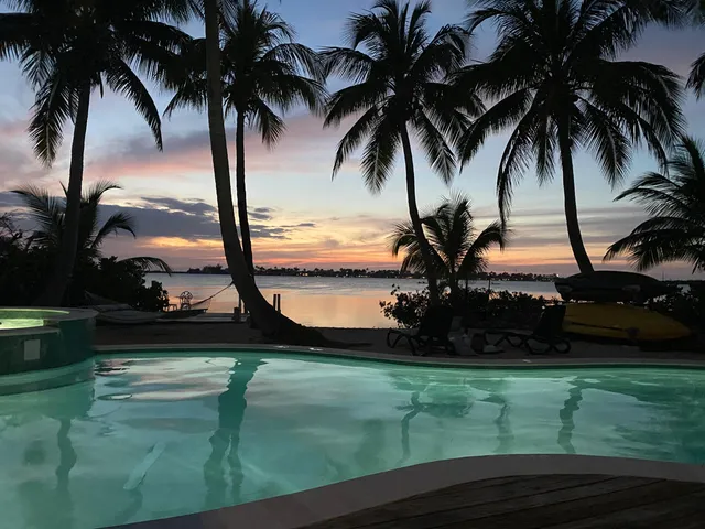 a view of a backyard with a garden
