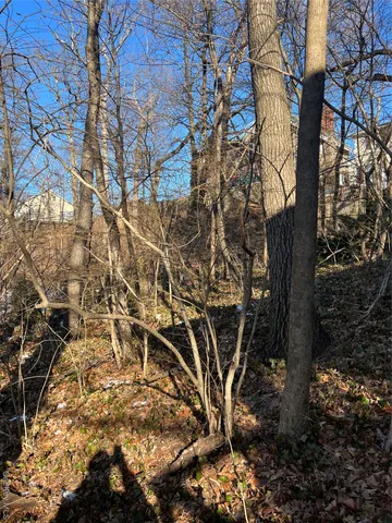 a view of a yard with plants and trees