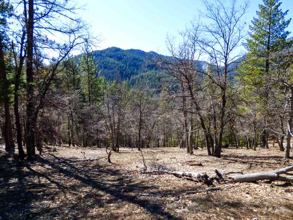 0 Greenhorn Road Yreka, CA 96097 - Photo 6 of 27 Gallery Image 6