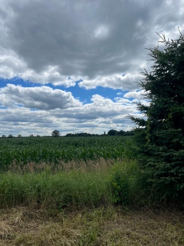 N4486 Ackley Road Deerbrook, WI 54424 - Photo 62 of 85 Gallery Image 62