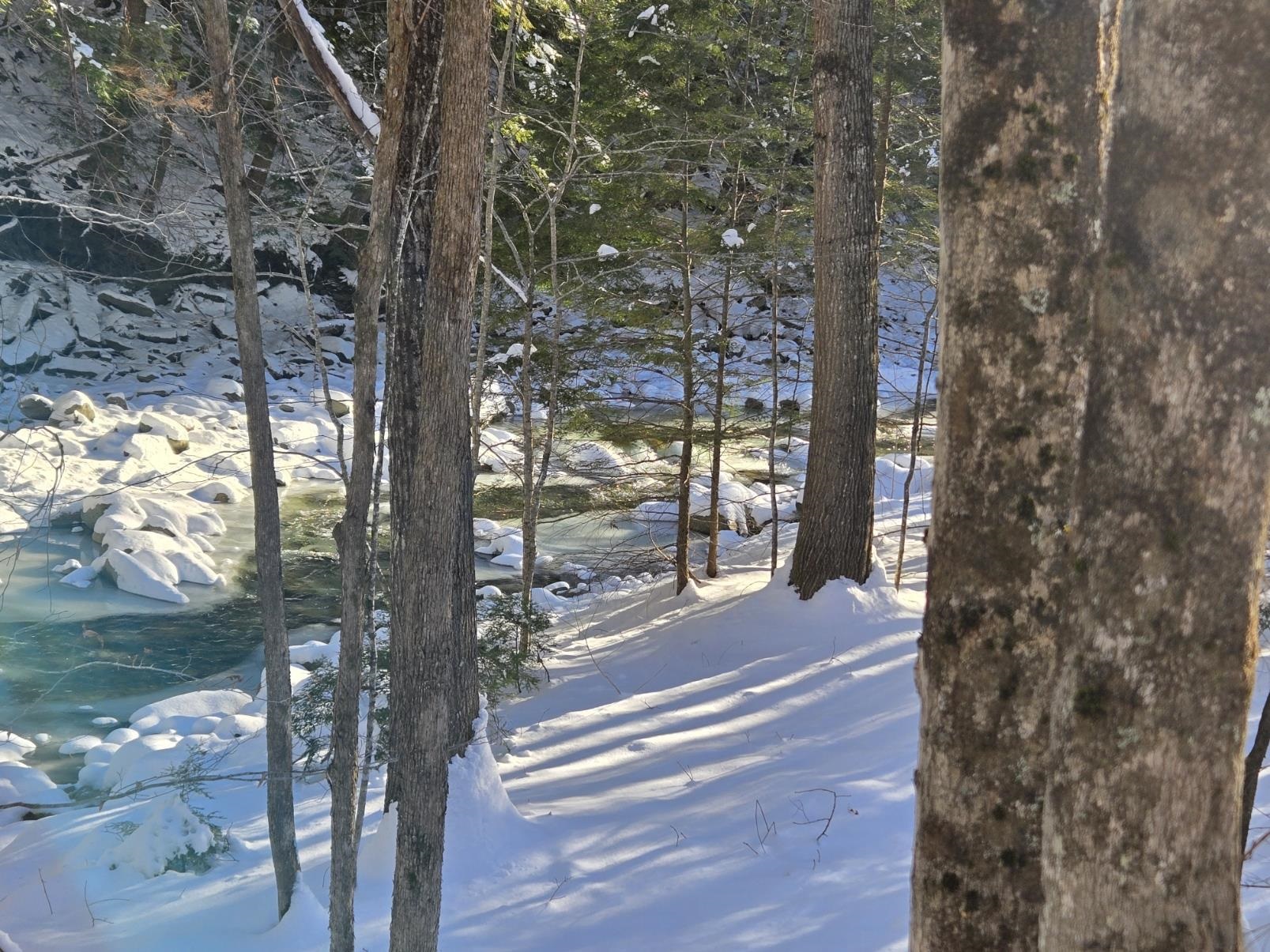 0 Chateauguay Road Bethel, VT 05032 - Photo 14 of 24