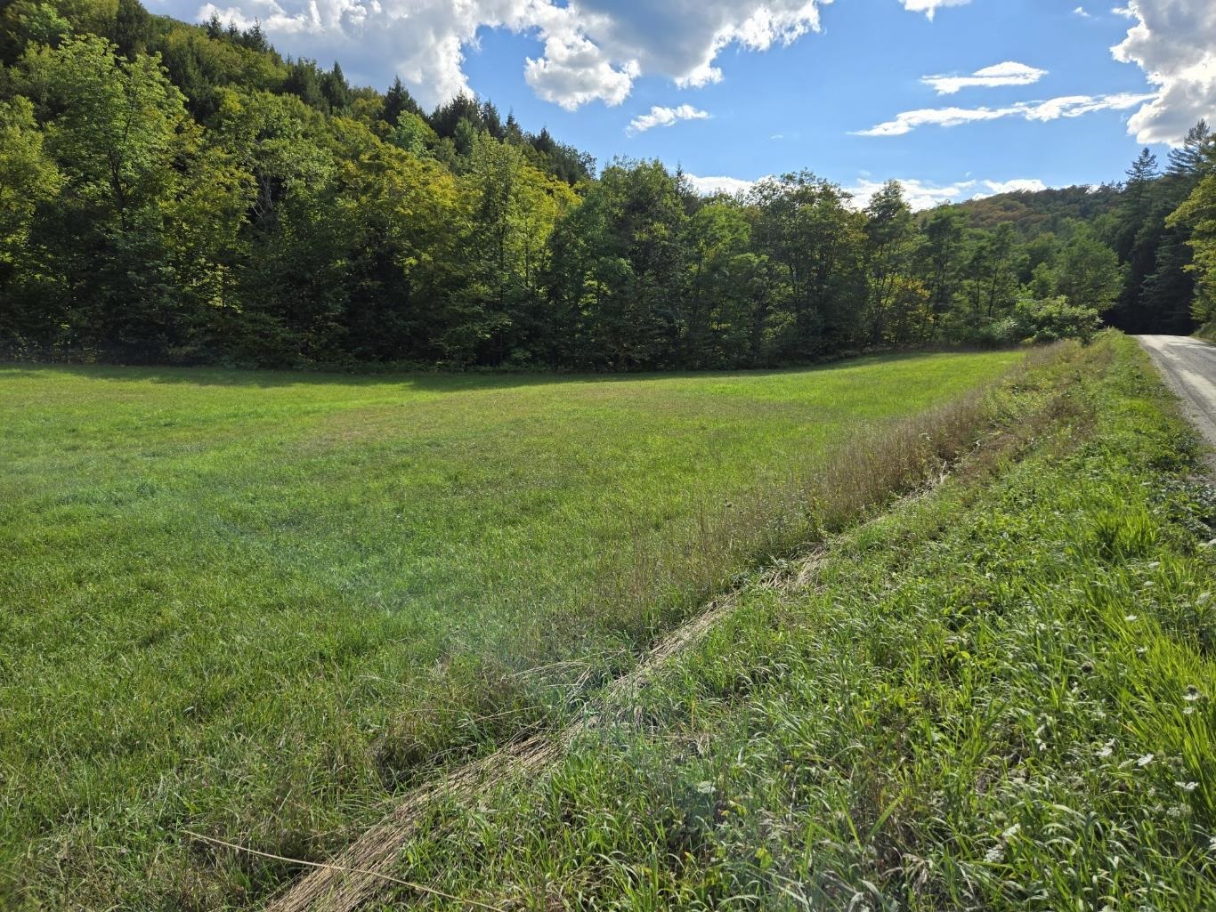 0 Chateauguay Road Bethel, VT 05032 - Photo 3 of 12