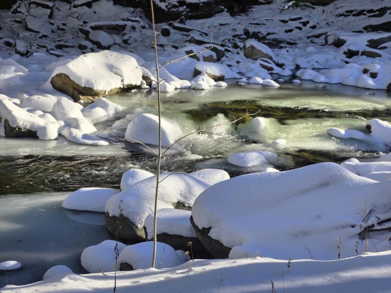 0 Chateauguay Road Bethel, VT 05032 - Photo 5 of 24