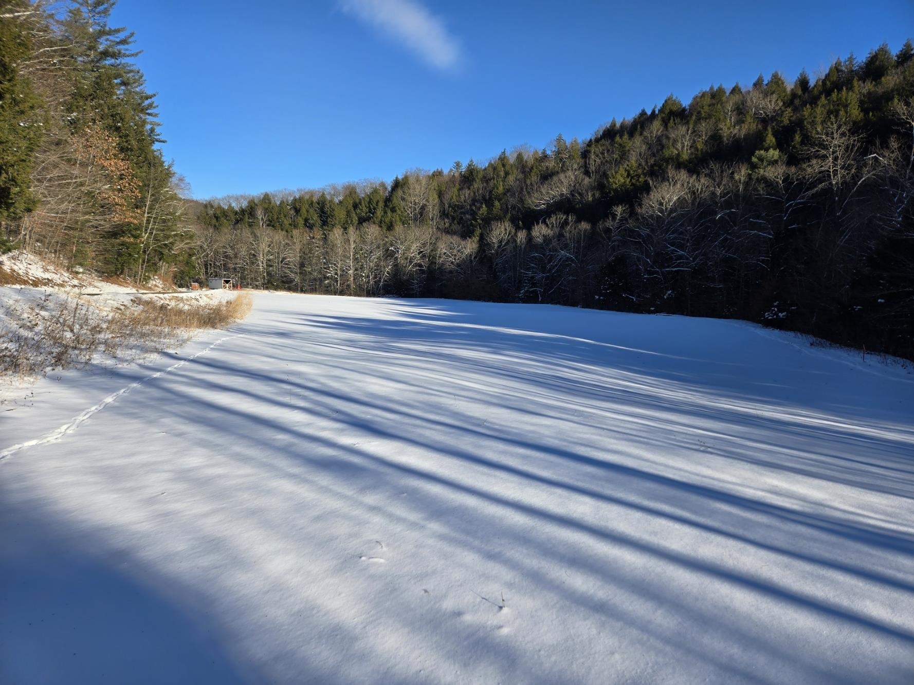0 Chateauguay Road Bethel, VT 05032 - Photo 6 of 24