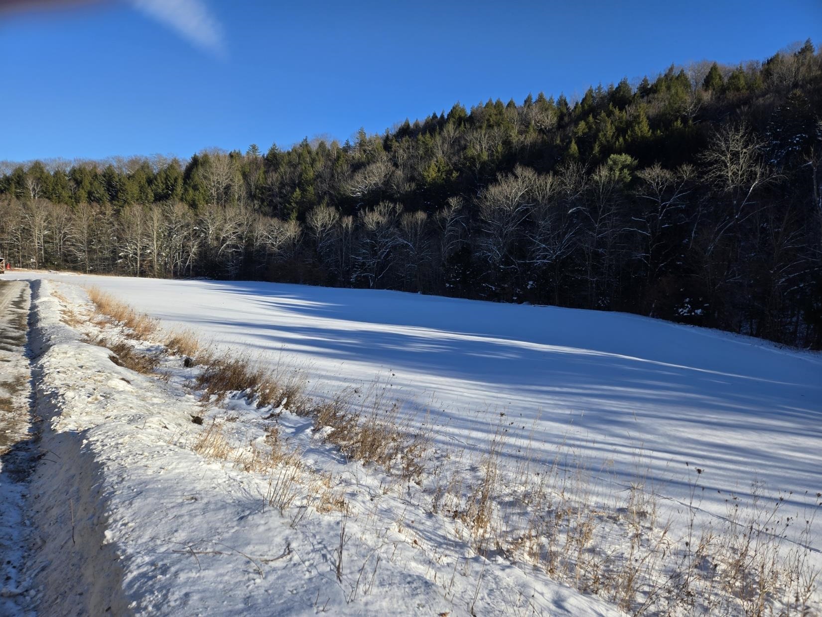 0 Chateauguay Road Bethel, VT 05032 - Photo 8 of 24