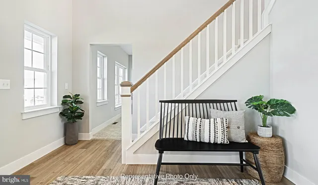 a view of staircase with wooden floor and a potted plant