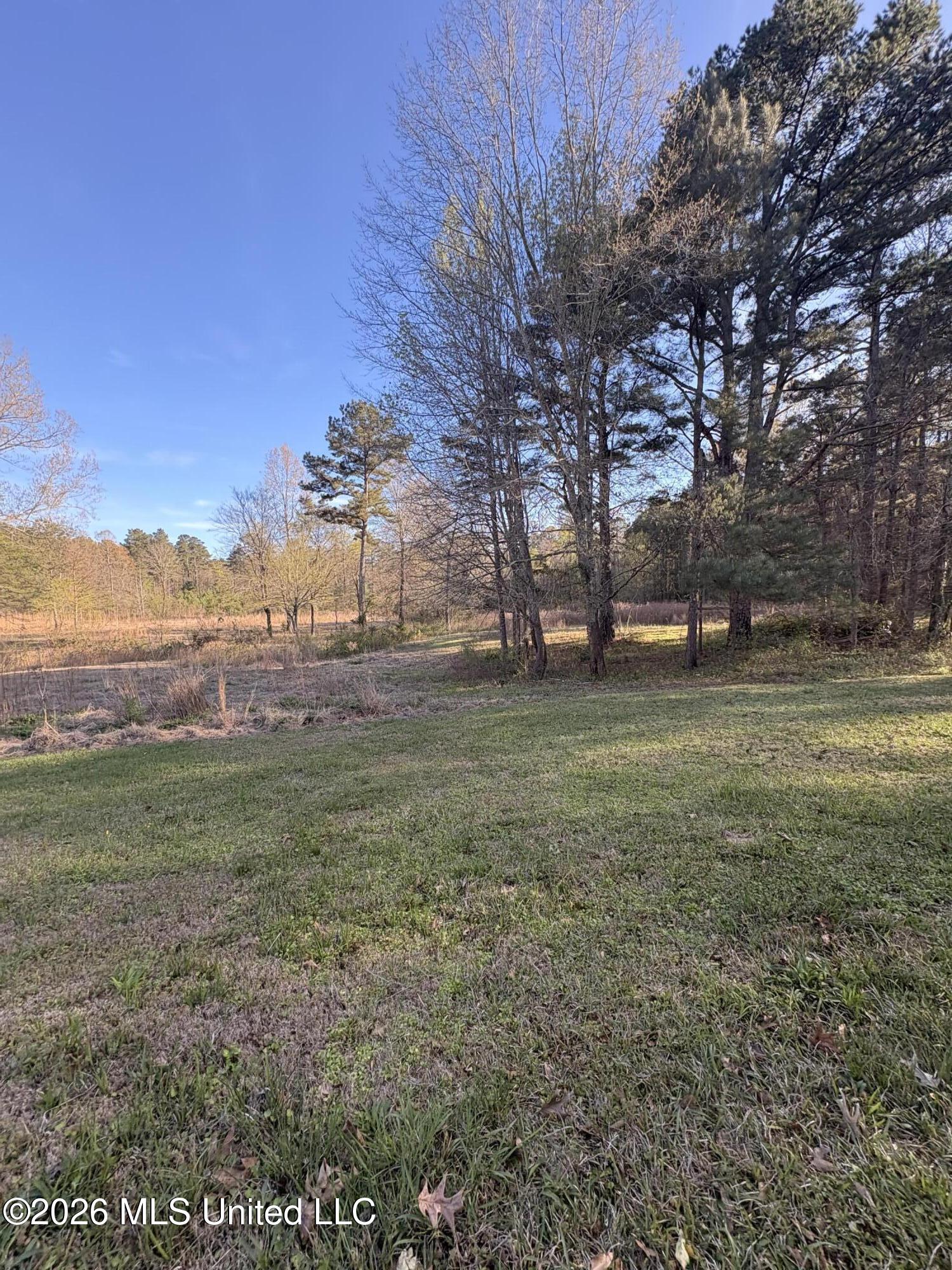 337 J C Prestage Road Pelahatchie, MS 39145 - Photo 6 of 15 IMG_7801 (1)