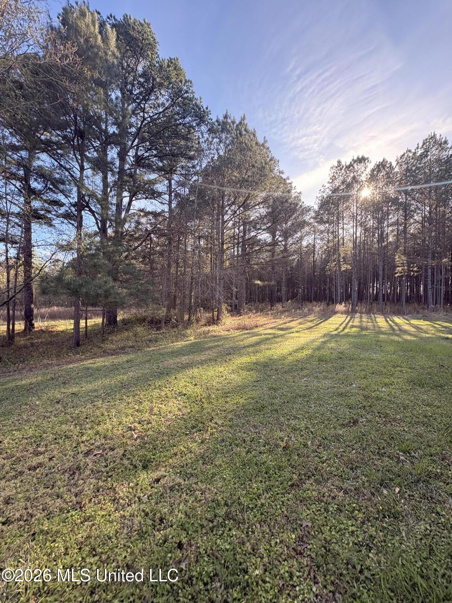 337 J C Prestage Road Pelahatchie, MS 39145 - Photo 7 of 15 IMG_7802 (1)