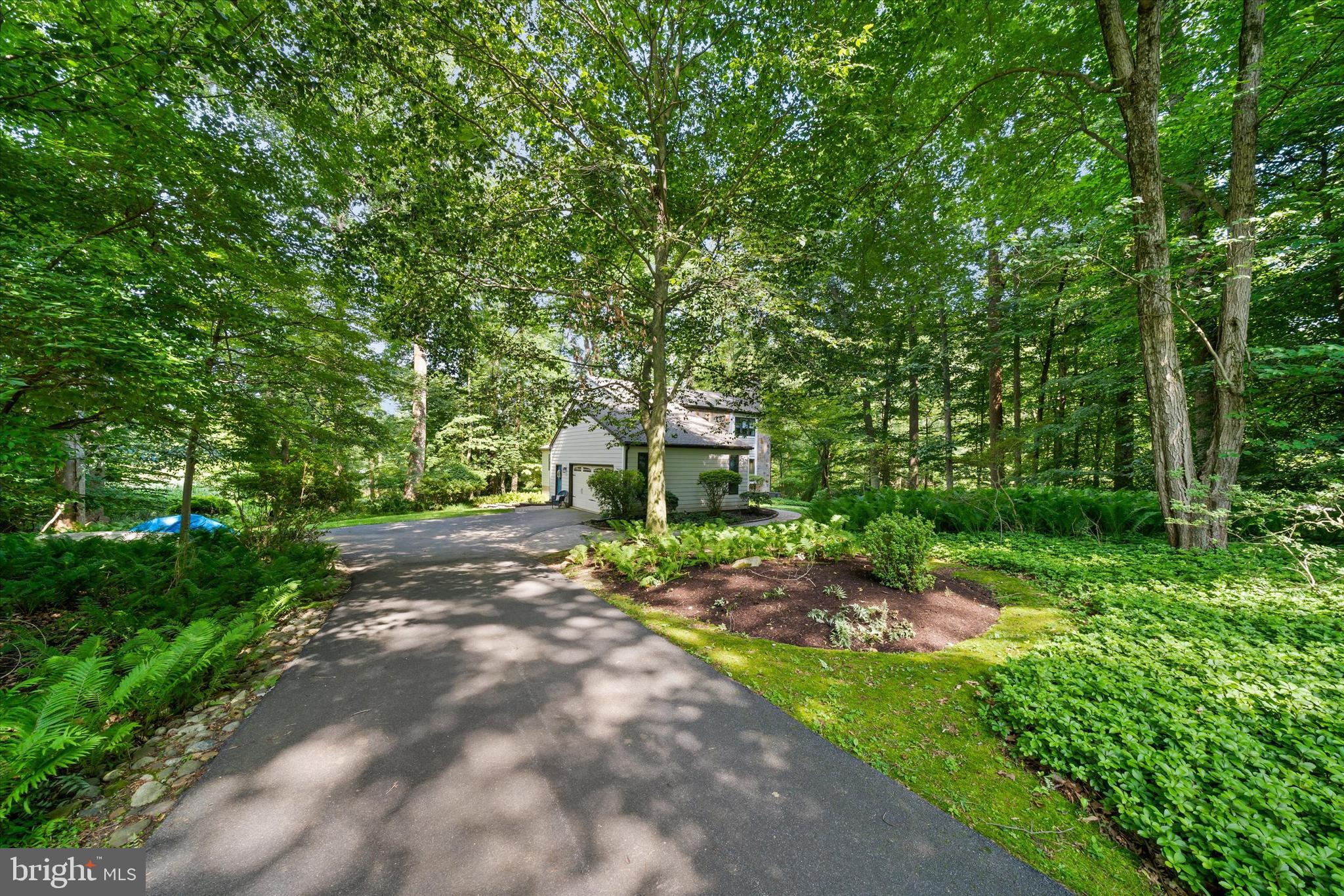 59 Carter Road Thornton, PA 19373 - Photo 3 of 52 Nestled in the woods
