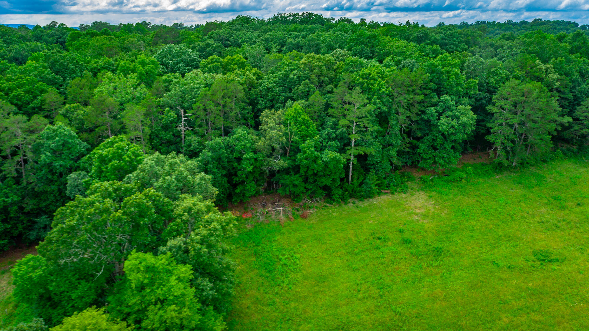 1230 Baggett Road Ringgold, GA 30736 - Photo 44 of 54 Baggett Road Lot HD-45