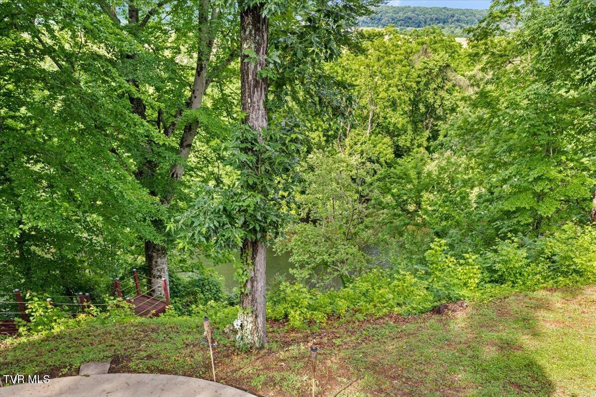 1594 Christian Bend Road Church Hill, TN 37642 - Photo 53 of 123 105-128A2592