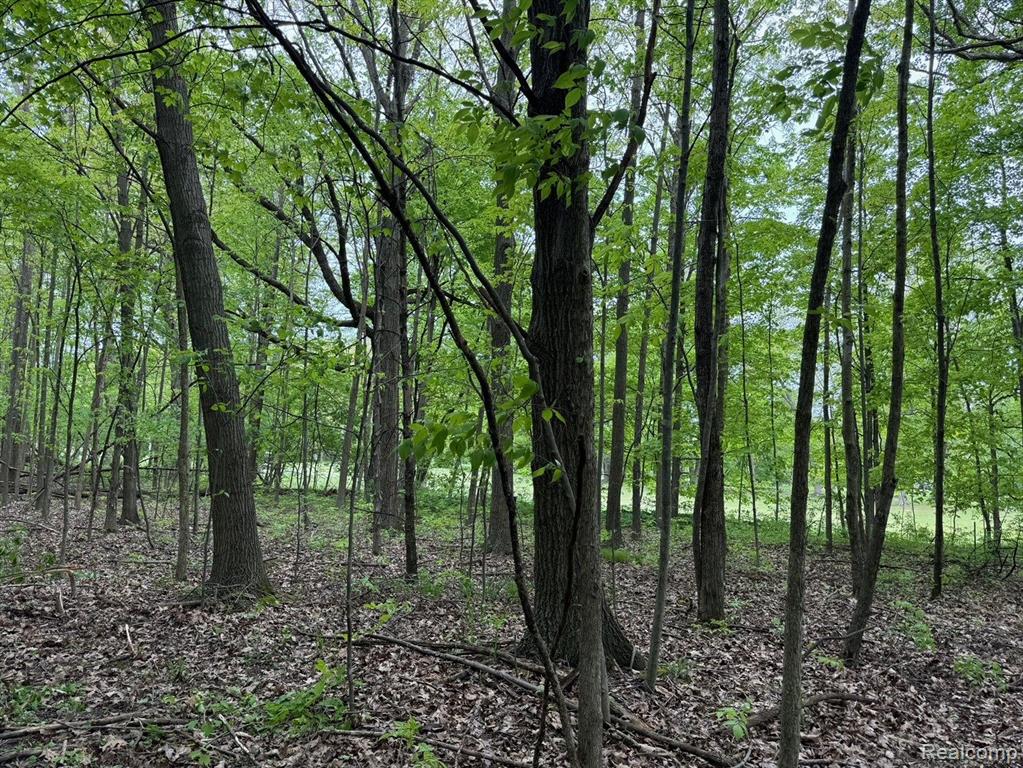 0 Davison Road Oxford, MI 48371 - Photo 25 of 35
