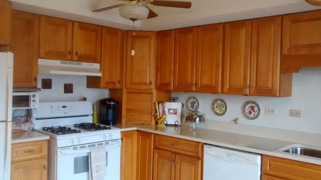 37W840 Big Timber Road Elgin, IL 60124 - Photo 8 of 35