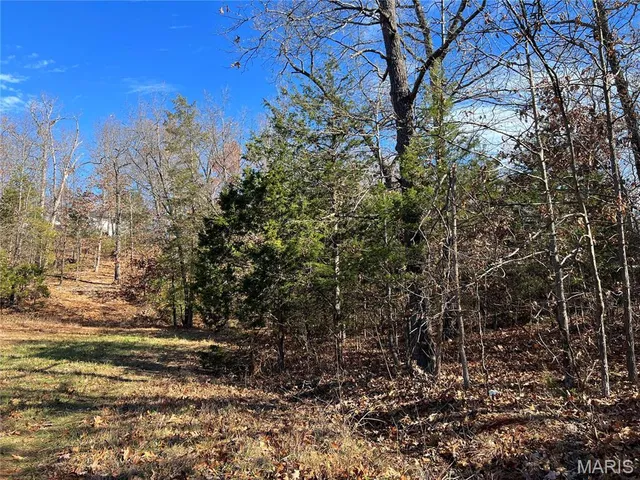 $4,750 | 0 A Court, Bonne Terre, MO 63628