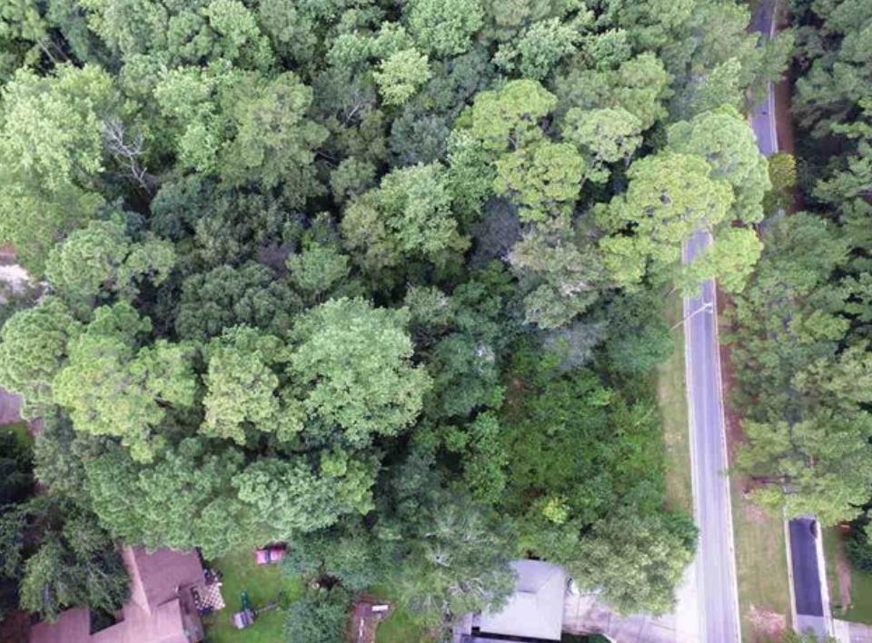 673 Ridgewood Drive Daphne, AL 36526 - Photo 2 of 3