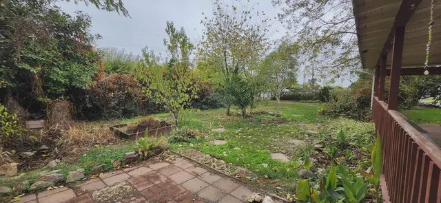 a view of a lush green forest