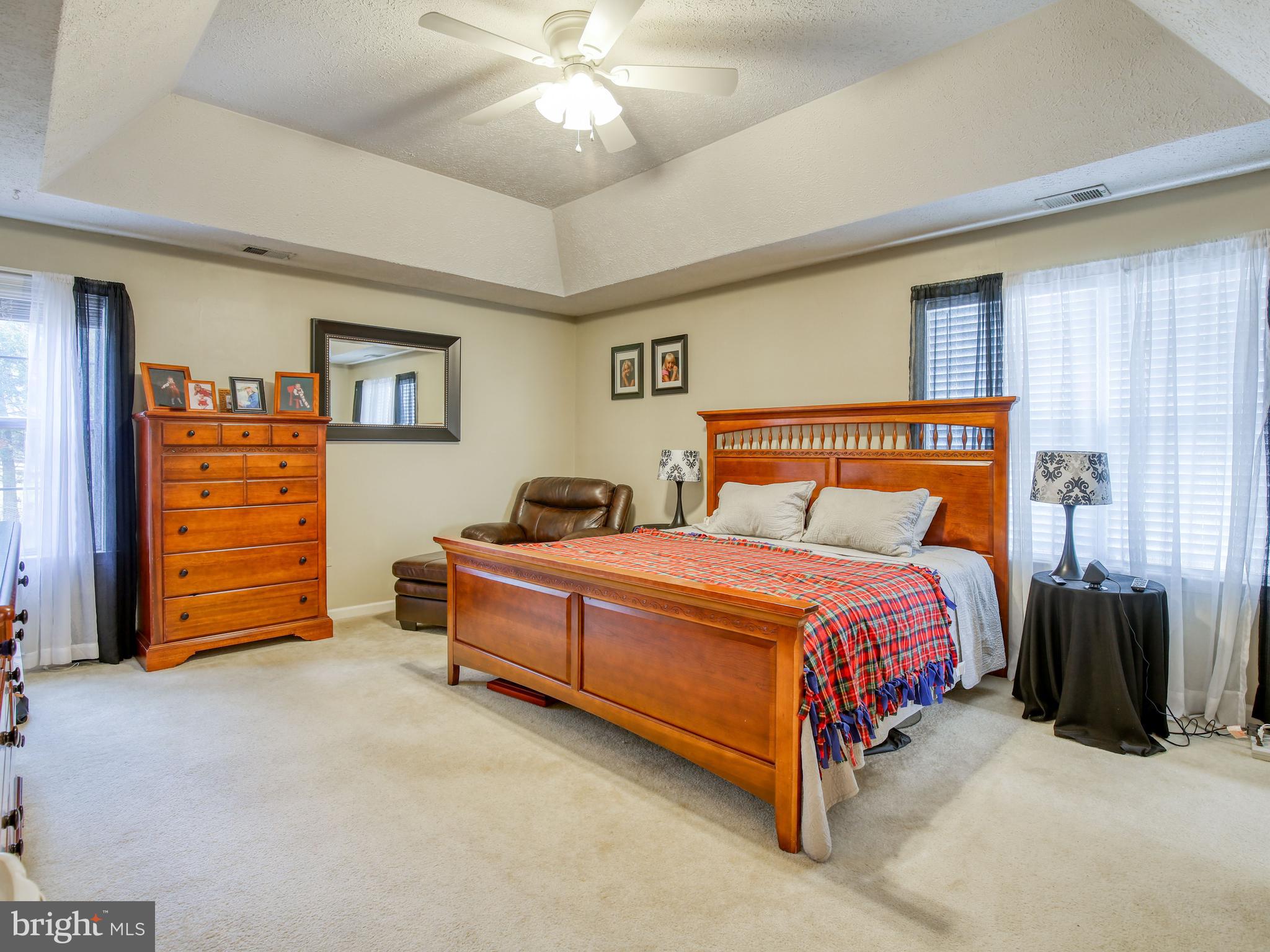 300 Canyon Road Winchester, VA 22602 - Photo 23 of 29 Primary bedroom w/tray ceiling