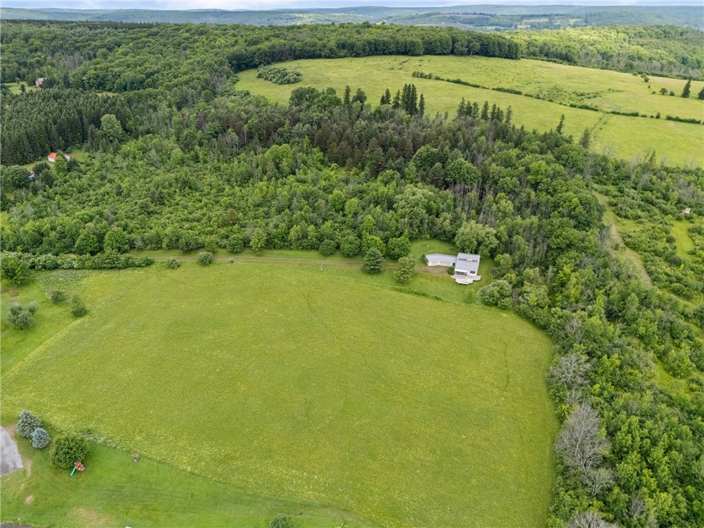 6370 Palmiter Road Alfred, NY 14803 - Photo 43 of 45 Aerial View from Front of the House