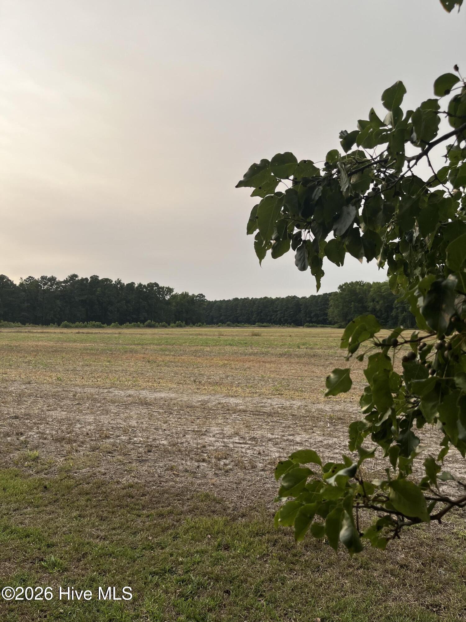 3091 Hudsons Crossroads Road Greenville, NC 27858 - Photo 10 of 22
