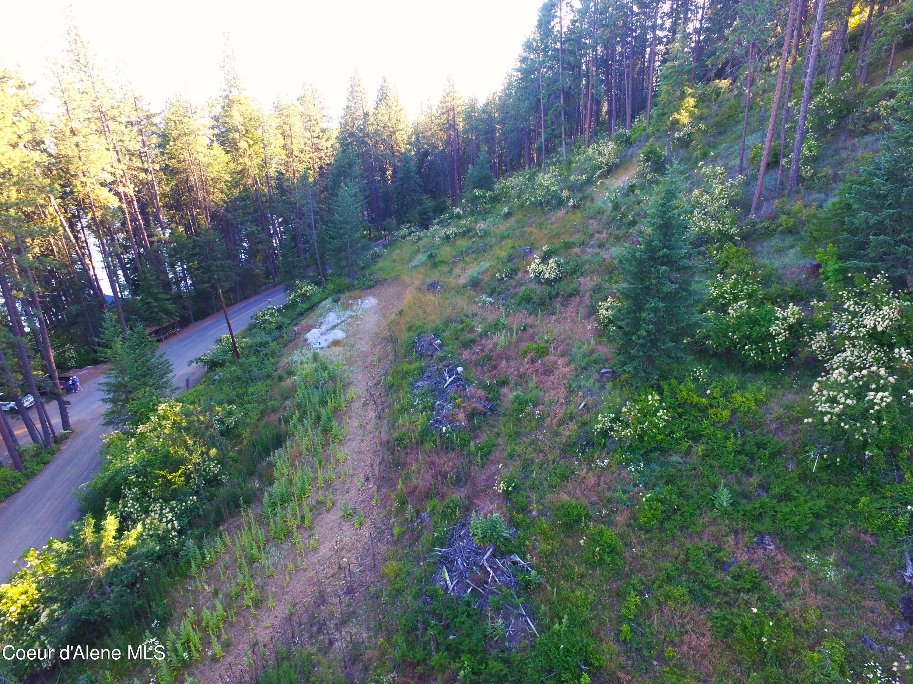 1755 West Valhalla Road Coeur D'Alene, ID 83814 - Photo 5 of 8 DJI_0018