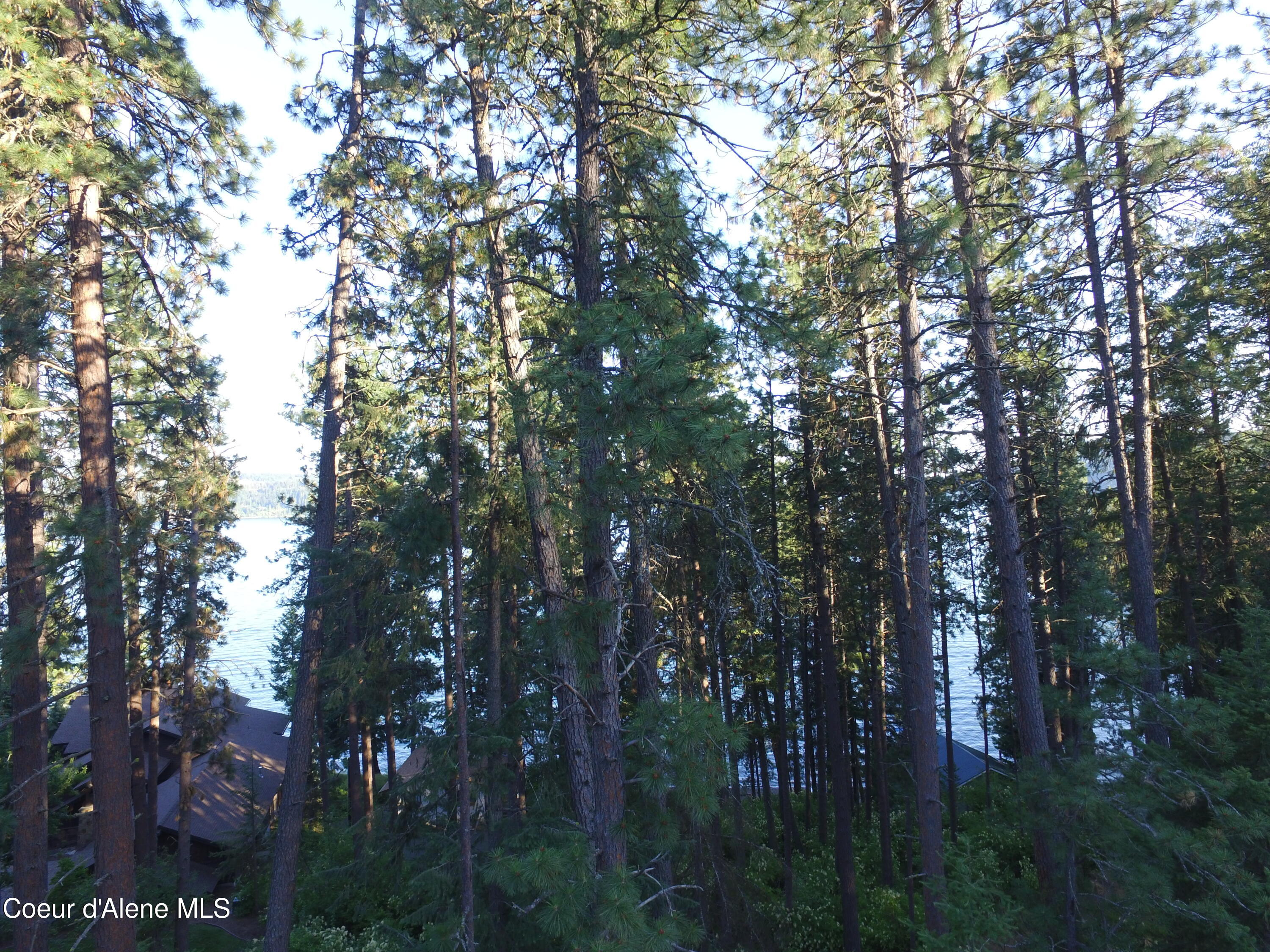 1755 West Valhalla Road Coeur D'Alene, ID 83814 - Photo 7 of 8 DJI_0027