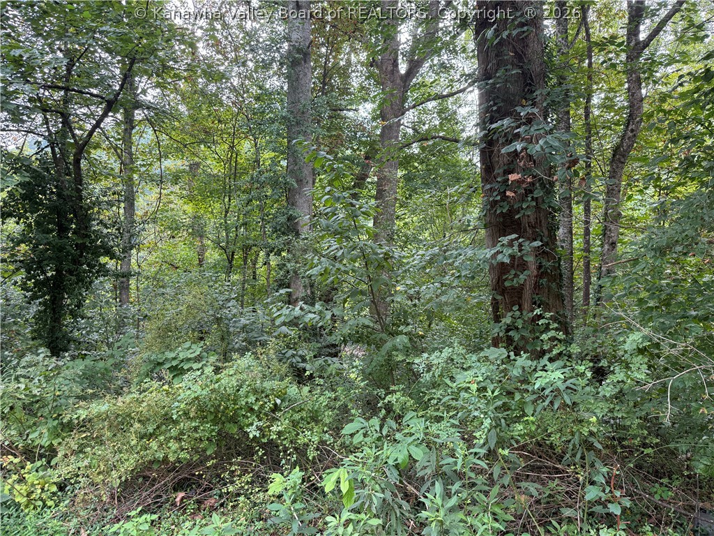 0 South Elk River Road Clendenin, WV 25045 - Photo 6 of 13 Gallery Image 6